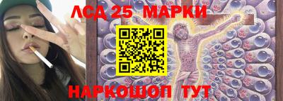PSILOCYBIN Ярославль
