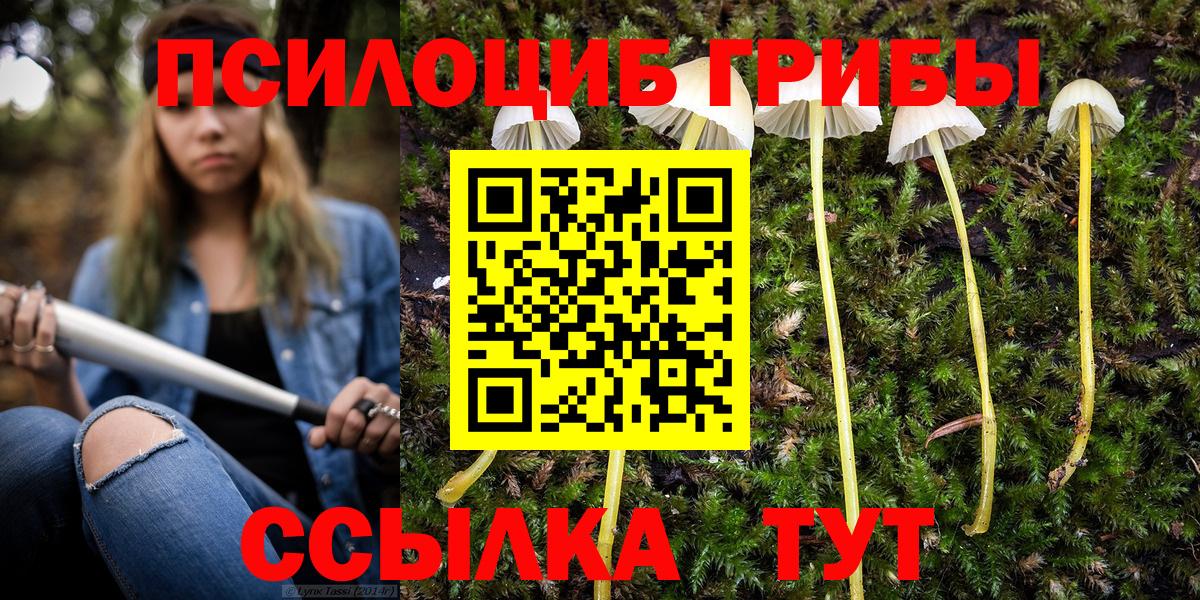 Галлюциногенные грибы MAGIC MUSHROOMS Вышний Волочёк